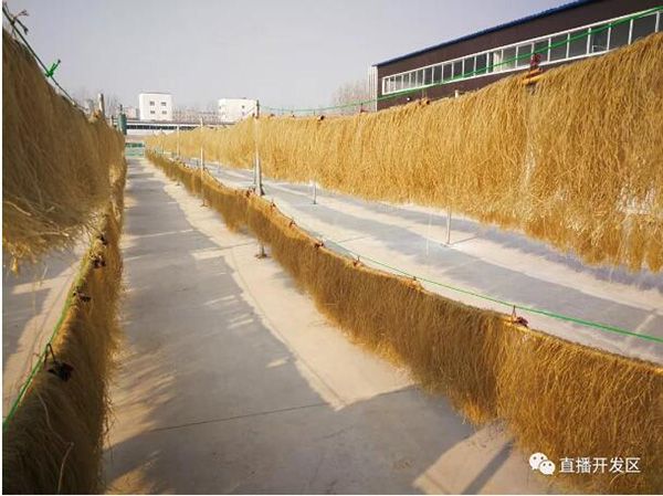 良心食品.jpg 良心食品